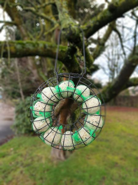 Meisenknödelring befüllt mit 10 Meisenknödel aus Metall mit Haken zum Aufhängen